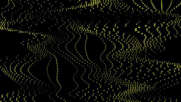 Privacy in LLMs: Securing Enterprise Data Without Losing Performance